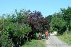 2009-07-12_10-41-25