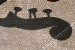 2009-07-12_15-00-24
