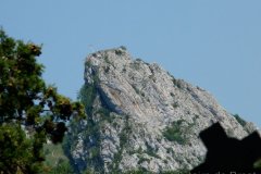2009-07-12_15-26-06