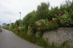 2008-06-14_20-30-00_C_DSCN1813