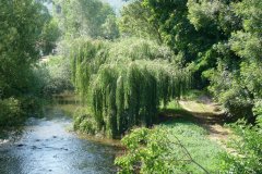 2009-07-13_15-54-17