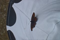 2009-07-15_17-23-51