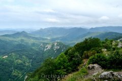 2009-07-15_17-49-36